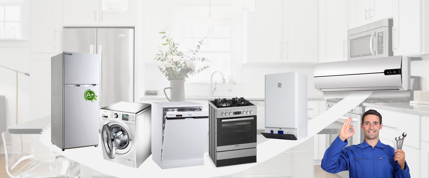Adapazarı Smeg Servisi